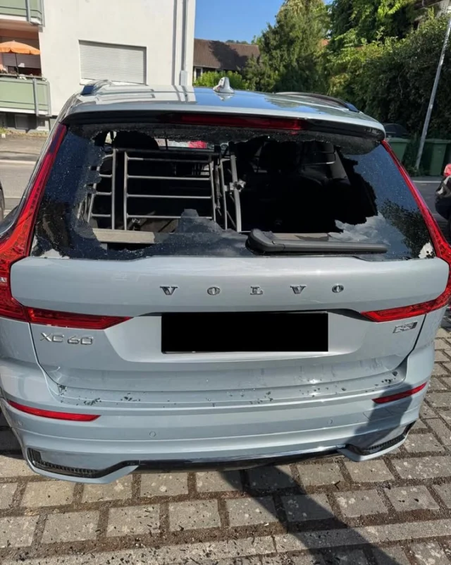 Erneuter Anschlag auf unseren Kreistagsabgeordneten Michael Franke!

In der Nacht von Freitag auf Samstag haben bislang unbekannte Täter das Auto unseres Kreistagsabgeordneten Michael Franke massiv beschädigt.

❌ Fünf Scheiben eingeschlagen
❌ Zwei Reifen zerstochen
❌ Frontscheibe und Motorhaube mit blauer Farbe besprüht
❌ Buttersäure im Innenraum verteilt

Der entstandene Schaden beläuft sich auf 12.000 bis 15.000 Euro.

Besonders erschreckend: Es ist nicht der erste Anschlag auf Michael Franke. Bereits mehrfach wurden sein Haus und sein Fahrzeug Ziel politisch motivierter Angriffe. Aus Rücksicht auf seine Familie hat er darüber bislang geschwiegen.

Unser Kreissprecher und Bundestagsabgeordneter Julian Schmidt erklärt dazu:

„Dieser erneute Anschlag auf einen demokratisch gewählten Kommunalpolitiker zeigt wieder einmal die hässliche Fratze der Marburger linksextremen Szene. Wer politische Mandatsträger einschüchtern, ihr Eigentum zerstören und durch den Einsatz gefährlicher Substanzen möglicherweise sogar ihre Gesundheit gefährden will, greift unsere demokratische Ordnung an.“

Es ist an der Zeit, dass alle demokratischen Parteien, der Oberbürgermeister, politische Verantwortungsträger sowie Vereine, Verbände und gesellschaftliche Organisationen in Marburg endlich klar und unmissverständlich Stellung gegen den immer stärker werdenden Linksextremismus beziehen. Gewalt gegen politisch Andersdenkende darf niemals relativiert oder verschwiegen werden.

➡️ Der AfD-Landesverband Hessen setzt eine Belohnung von 10.000 Euro für Hinweise aus, die zur Ermittlung und Ergreifung der Täter führen, aus. Die Belohnung wird ausschließlich an Privatpersonen ausgezahlt und nur dann, wenn die Täter zweifelsfrei ermittelt wurden.

Wer Hinweise zu der Tat geben kann, wird gebeten, sich an die Polizei zu wenden.

Politische Gewalt ist ein Angriff auf unsere Demokratie – egal gegen wen sie sich richtet.